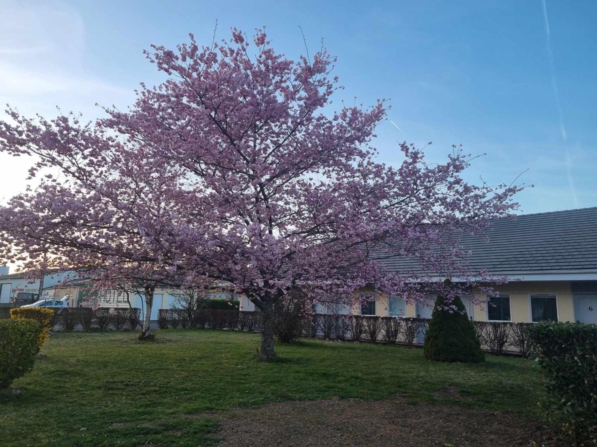 Lutea Hotel Riom-es-Montagnes Exterior photo